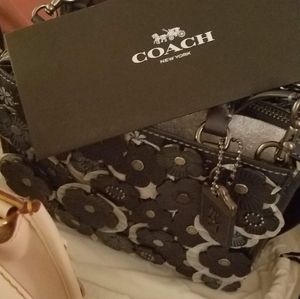 COACH tea rose rogue